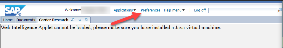 SAP user interface with arrow pointing to "Preferences"