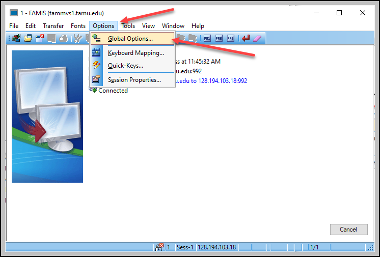 Screen capture of OpenText HostExplorer session options with global options highlighted