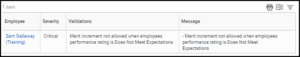 The error explanation showing the employee, severity, validations and message columns