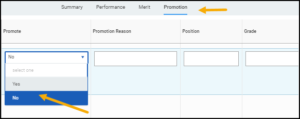 The performance table displaying the promote column which is selected and the options yes and no are displayed