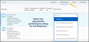 The performance tab of the merit grid. The performance column is selected for an example employee and several options are displayed related to the employee's performance