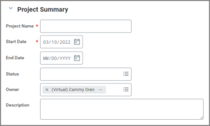 The Project Summary section showing the project name, start date, end date, status, owner, and description fields