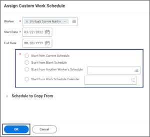The Assign Custom Work Schedule Page emphasizing the radio buttons