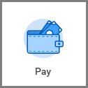 The Pay application icon