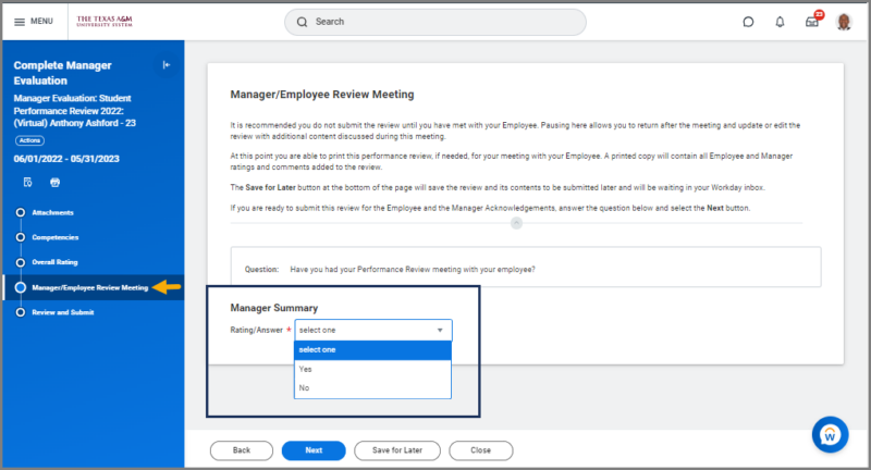 MANAGER AND EMPLOYEE REVIEW MEETING DETAILED PAGES