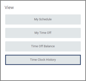 The Time Clock History button under the view section