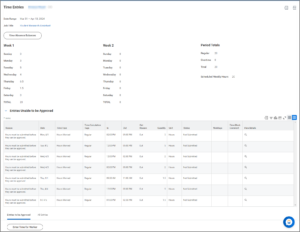 Detailed view of Employee's time input