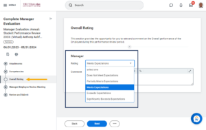 page to review and submit overall rating for employee by manager