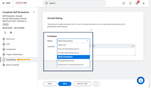 overall rating page displaying rating and comment fields