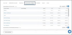 Pay Accumulations / Balances