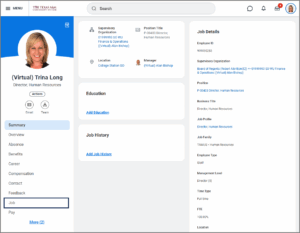 Workday worker profile overview page with job tab highlighted on the left side of the page