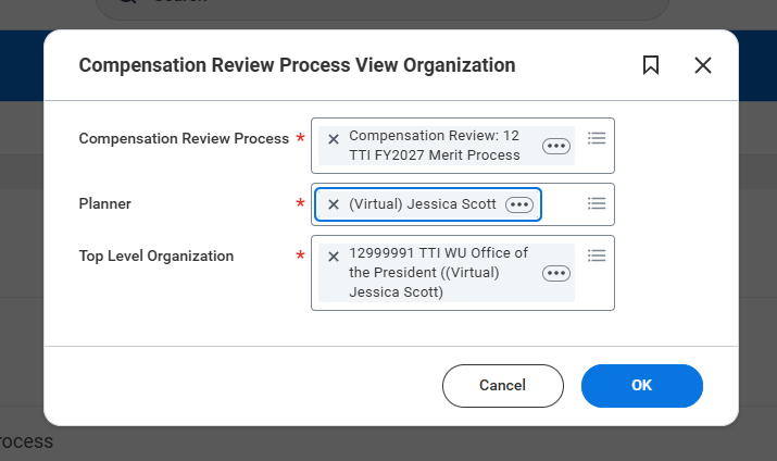 Compensation Review Process View Organization