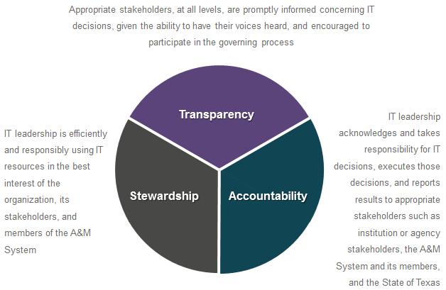 Governance Framework Values